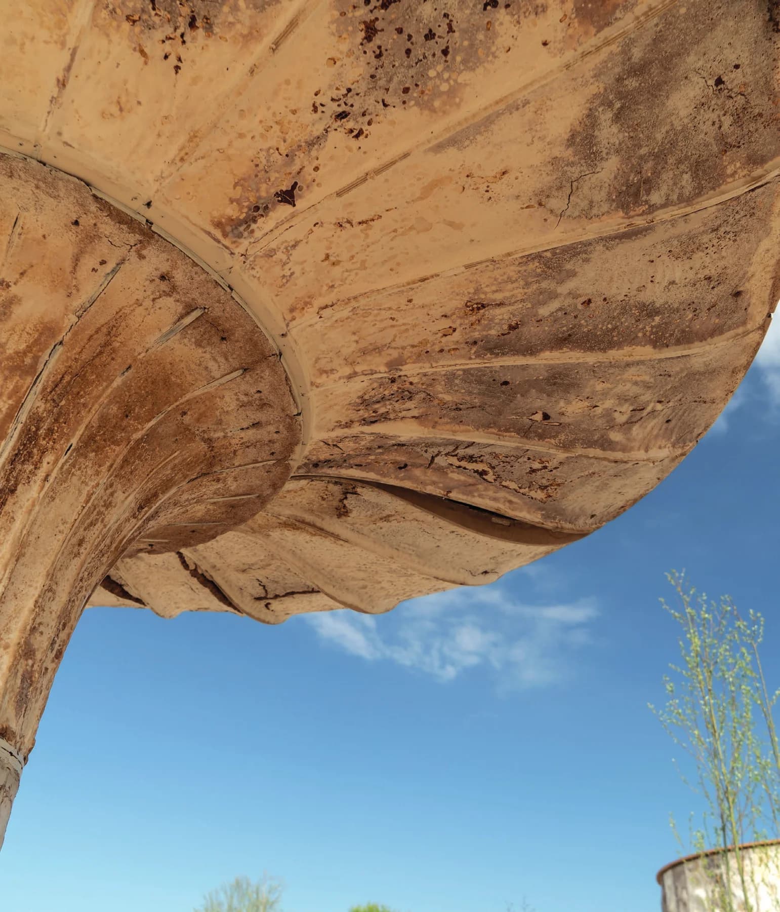 Looking up at the underside of a cap against a blue sky, its radiating divisions in ochre and cream.
