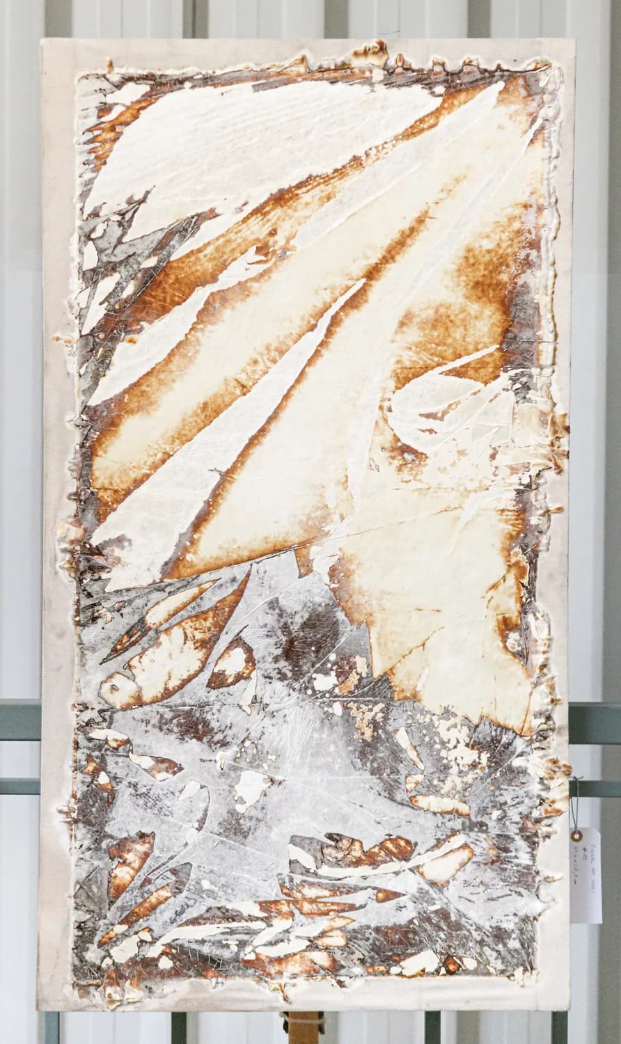 Relief and colour in a Fungal Art Series work