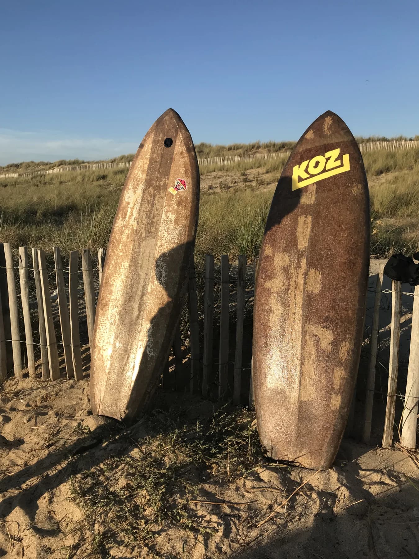 KOZ collaboration — mycelium surfboard prototype