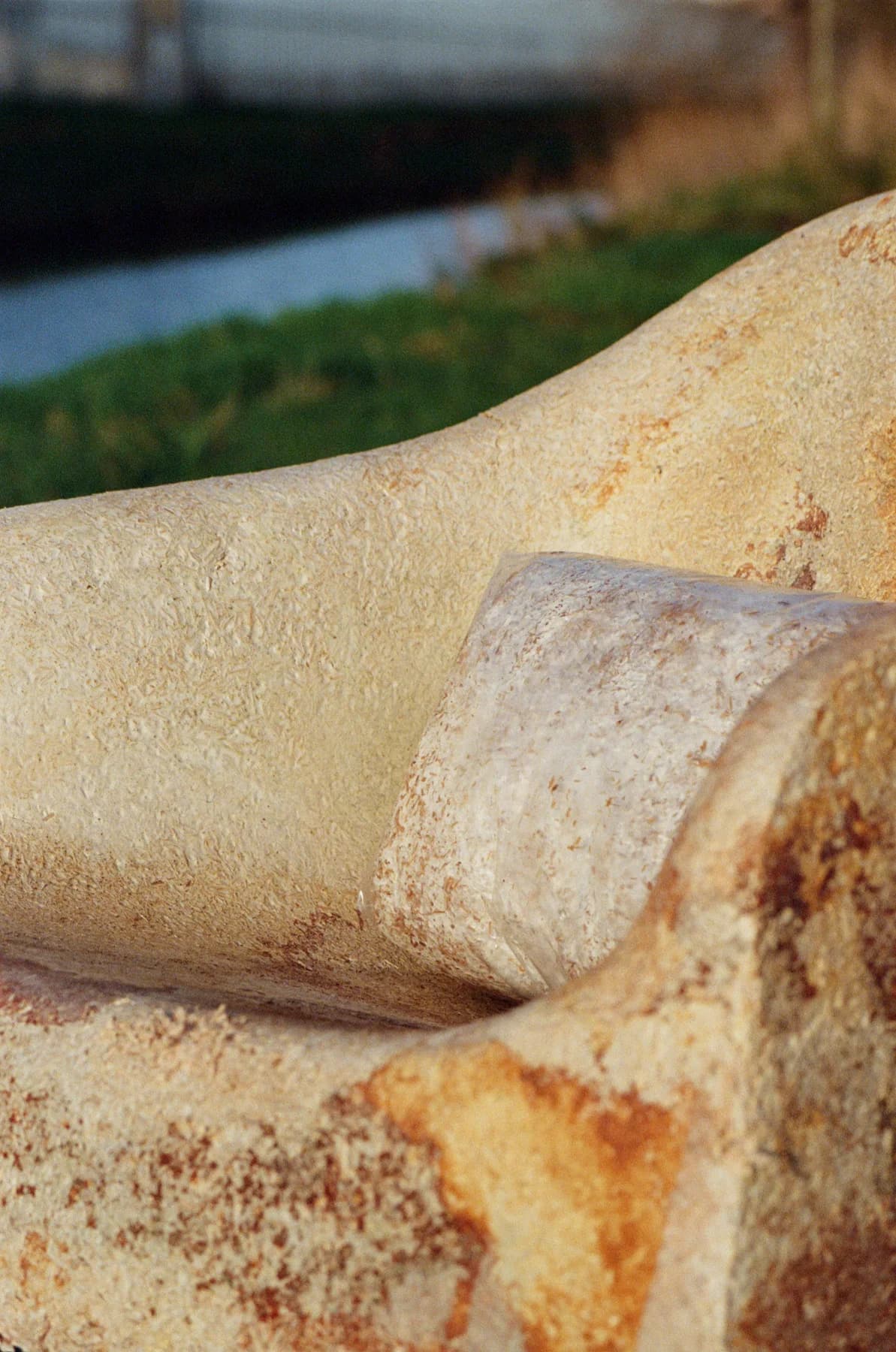 Mycelium chair — seating study and material detail