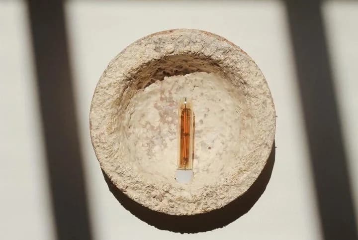 Mycelium wall light — grown circular shade and light source