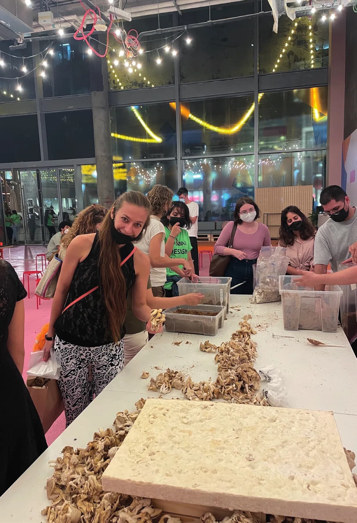 Dubai Design Week — mycelium cultivation workshop with Peter Oei